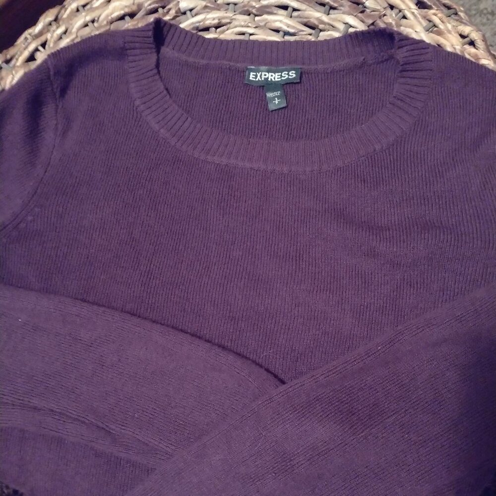 Express Small Crewneck Long Sleeve Deep Purple Sweater